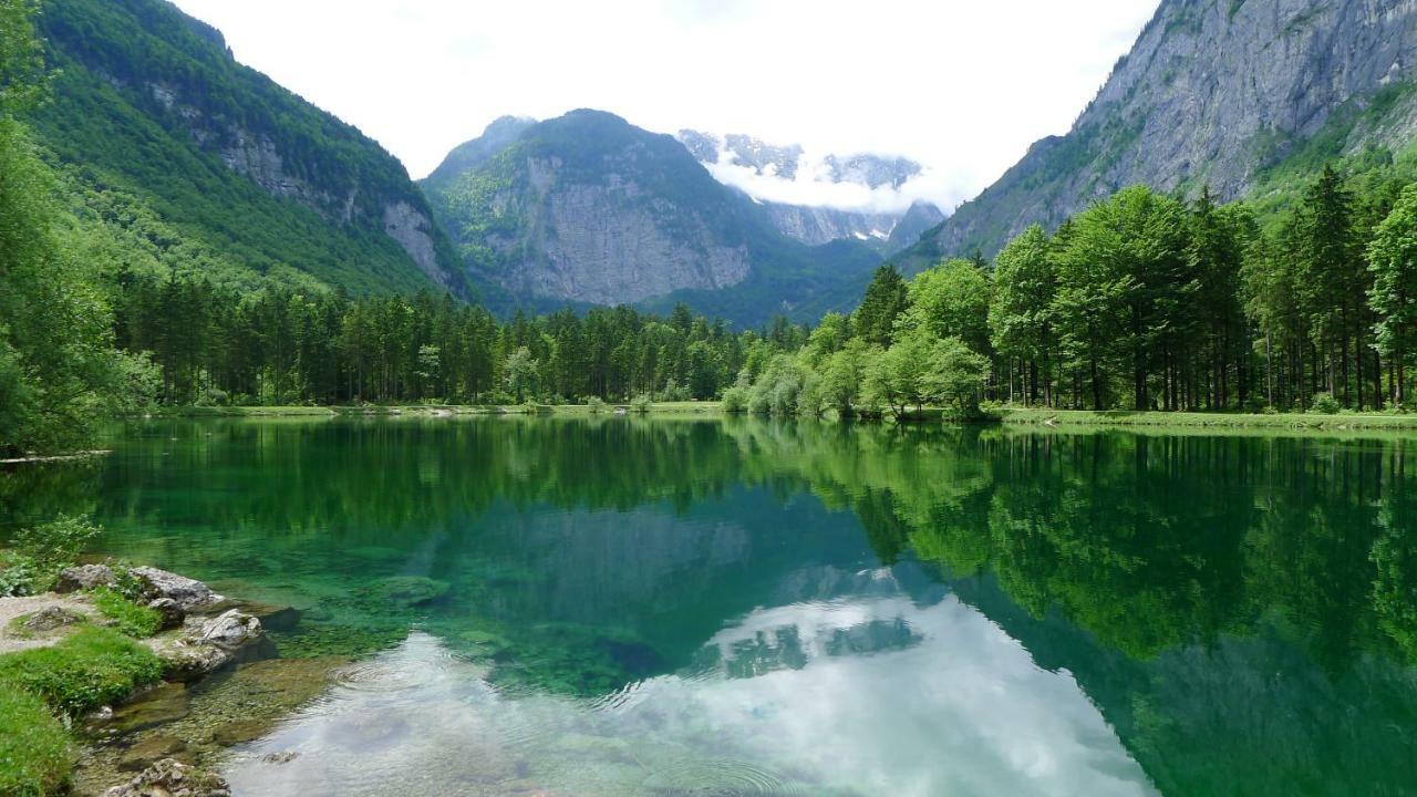 Alpenhaus Dachstein.Zauber Apartman Abtenau Kültér fotó