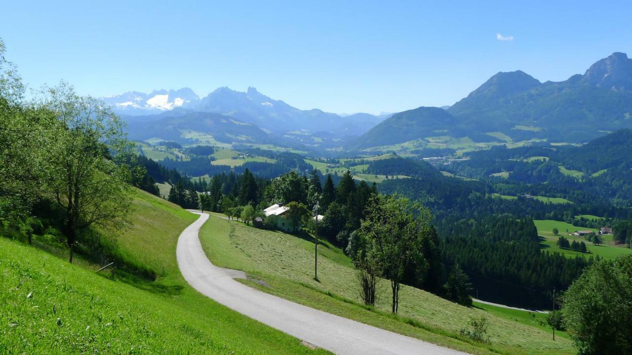 Alpenhaus Dachstein.Zauber Apartman Abtenau Kültér fotó