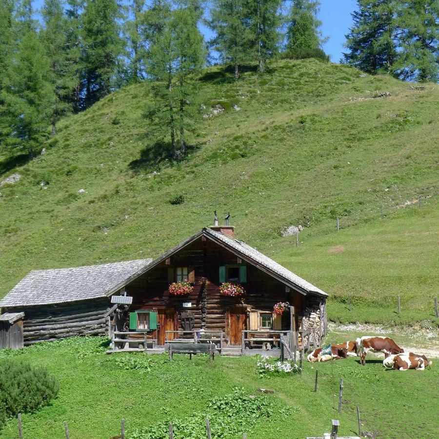 Alpenhaus Dachstein.Zauber Apartman Abtenau Kültér fotó