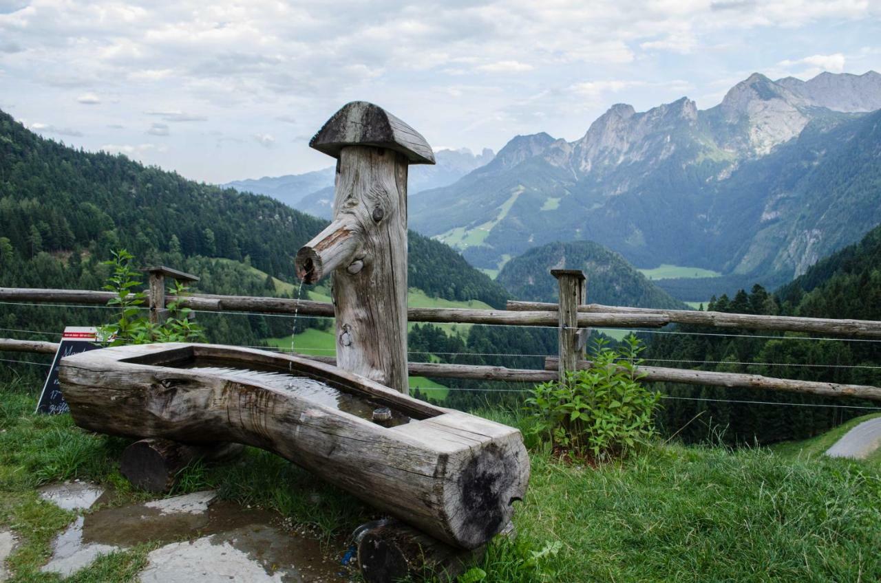 Alpenhaus Dachstein.Zauber Apartman Abtenau Kültér fotó