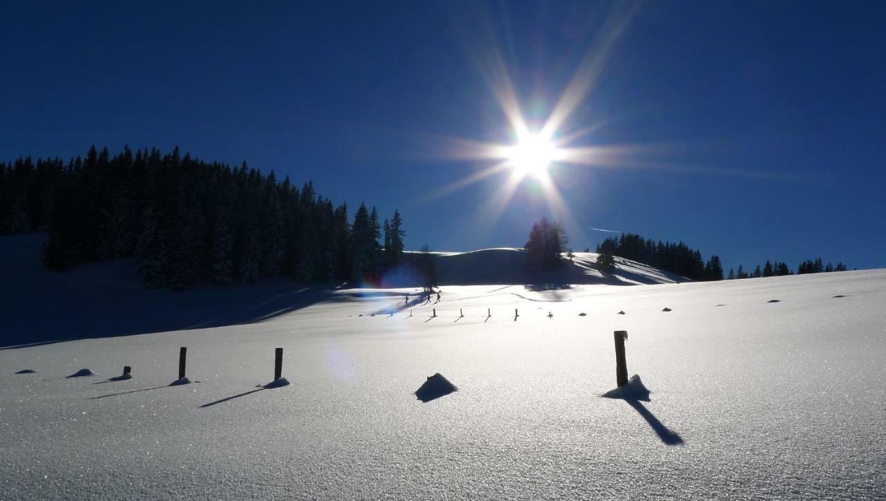 Alpenhaus Dachstein.Zauber Apartman Abtenau Kültér fotó