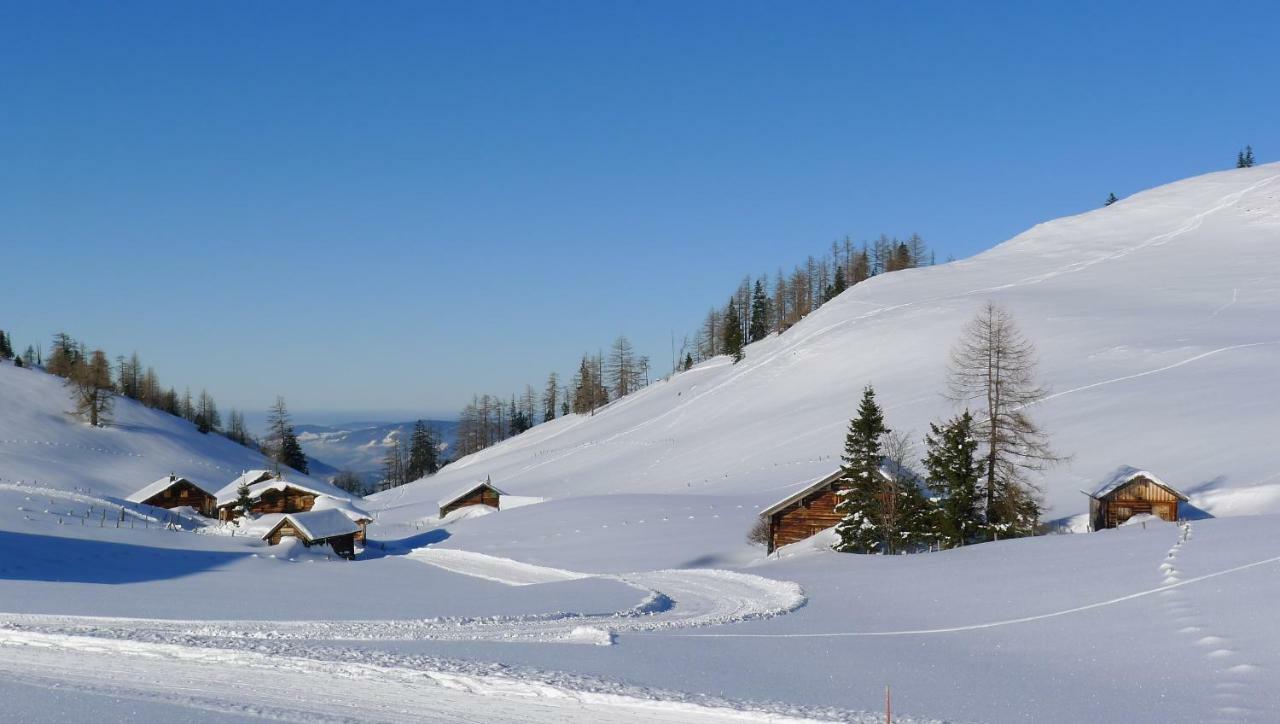 Alpenhaus Dachstein.Zauber Apartman Abtenau Kültér fotó