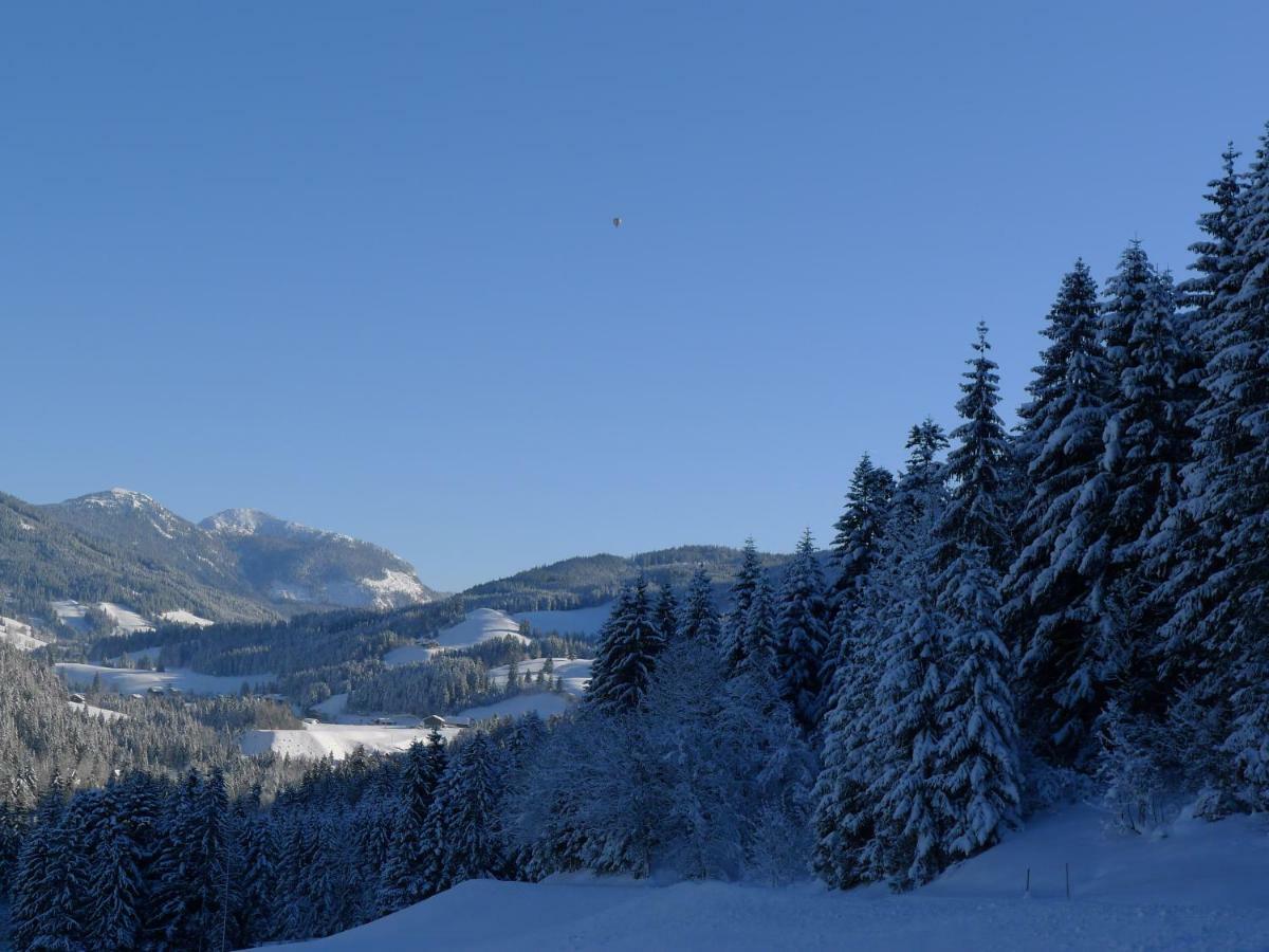 Alpenhaus Dachstein.Zauber Apartman Abtenau Kültér fotó