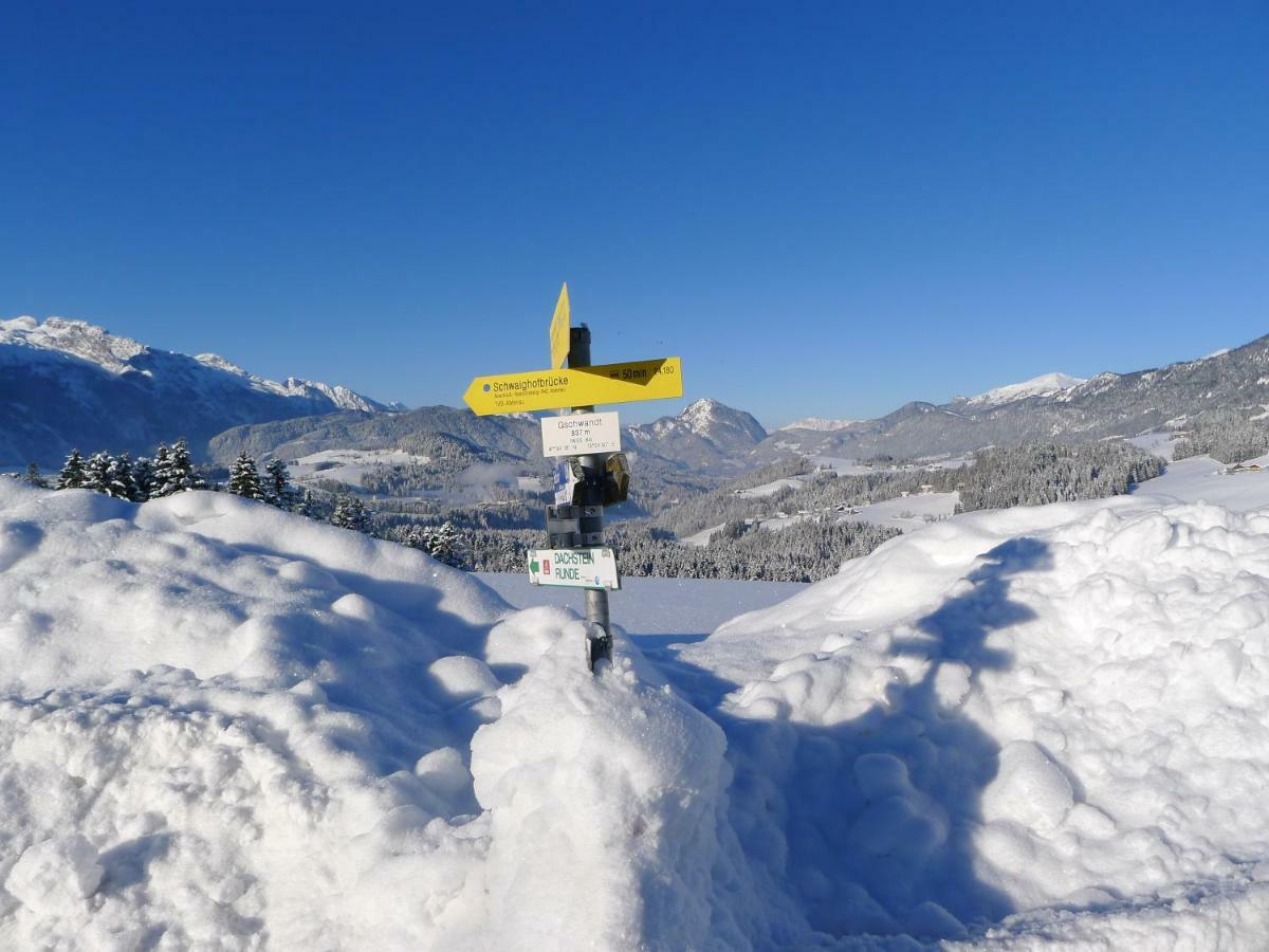 Alpenhaus Dachstein.Zauber Apartman Abtenau Kültér fotó